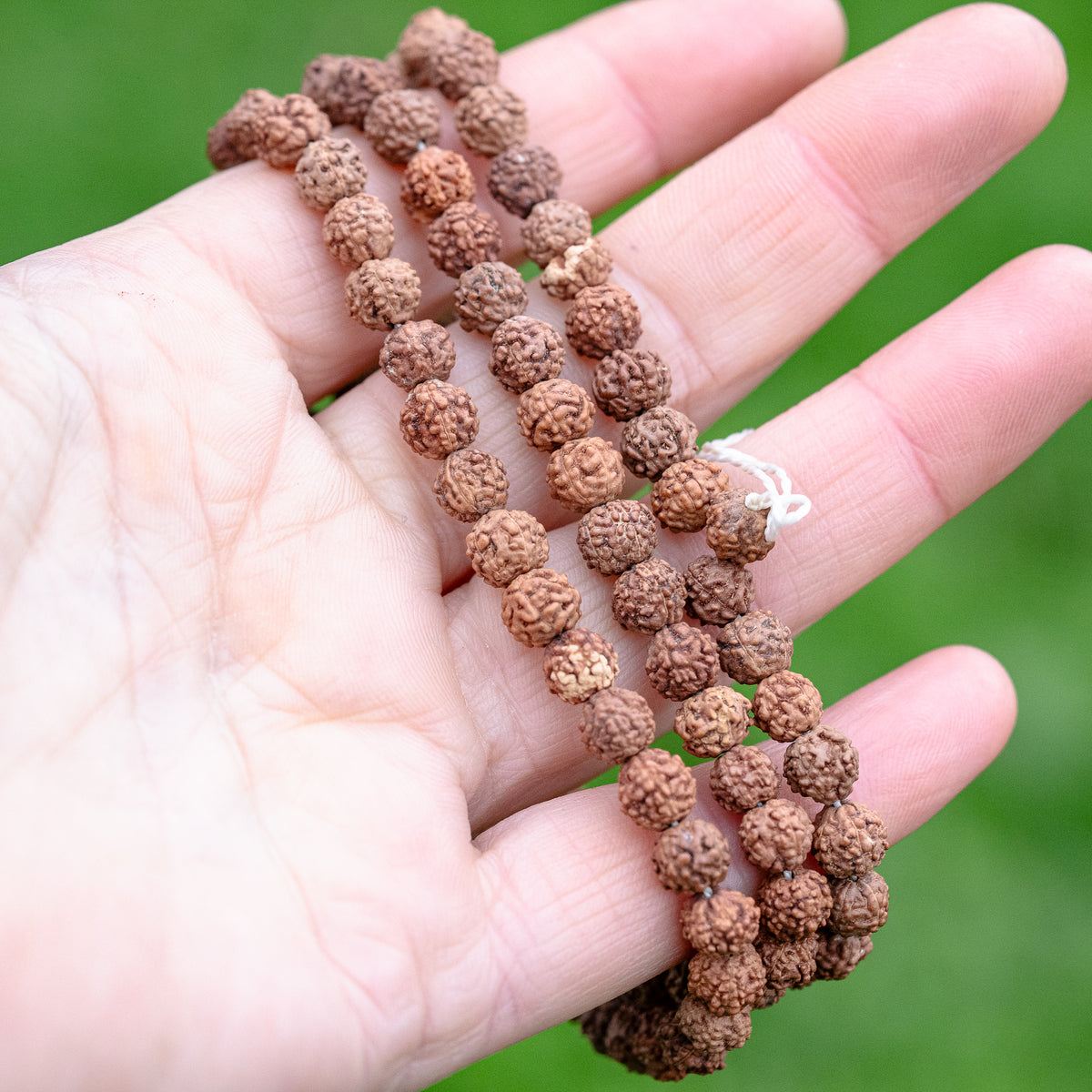 Perles graines Rudraksha rondes de env 6/7 mm ( brins de 108 perles et de env 66 cm )