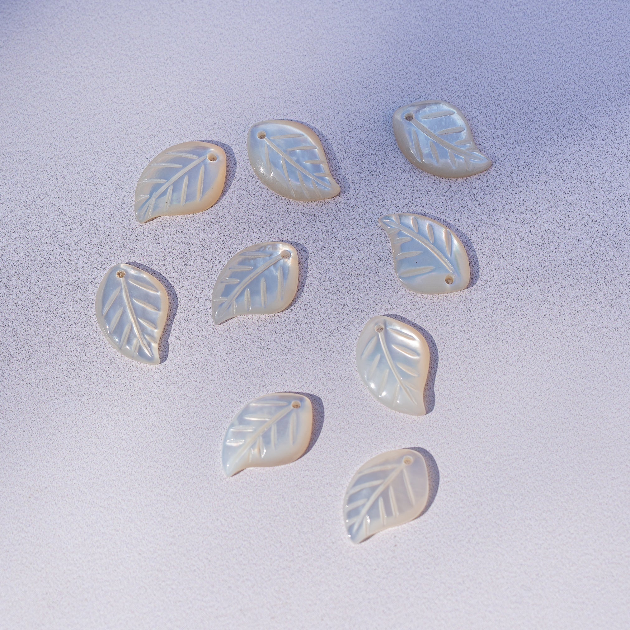 Breloques feuille en nacre blanche de 15 x 10 mm ( à l&