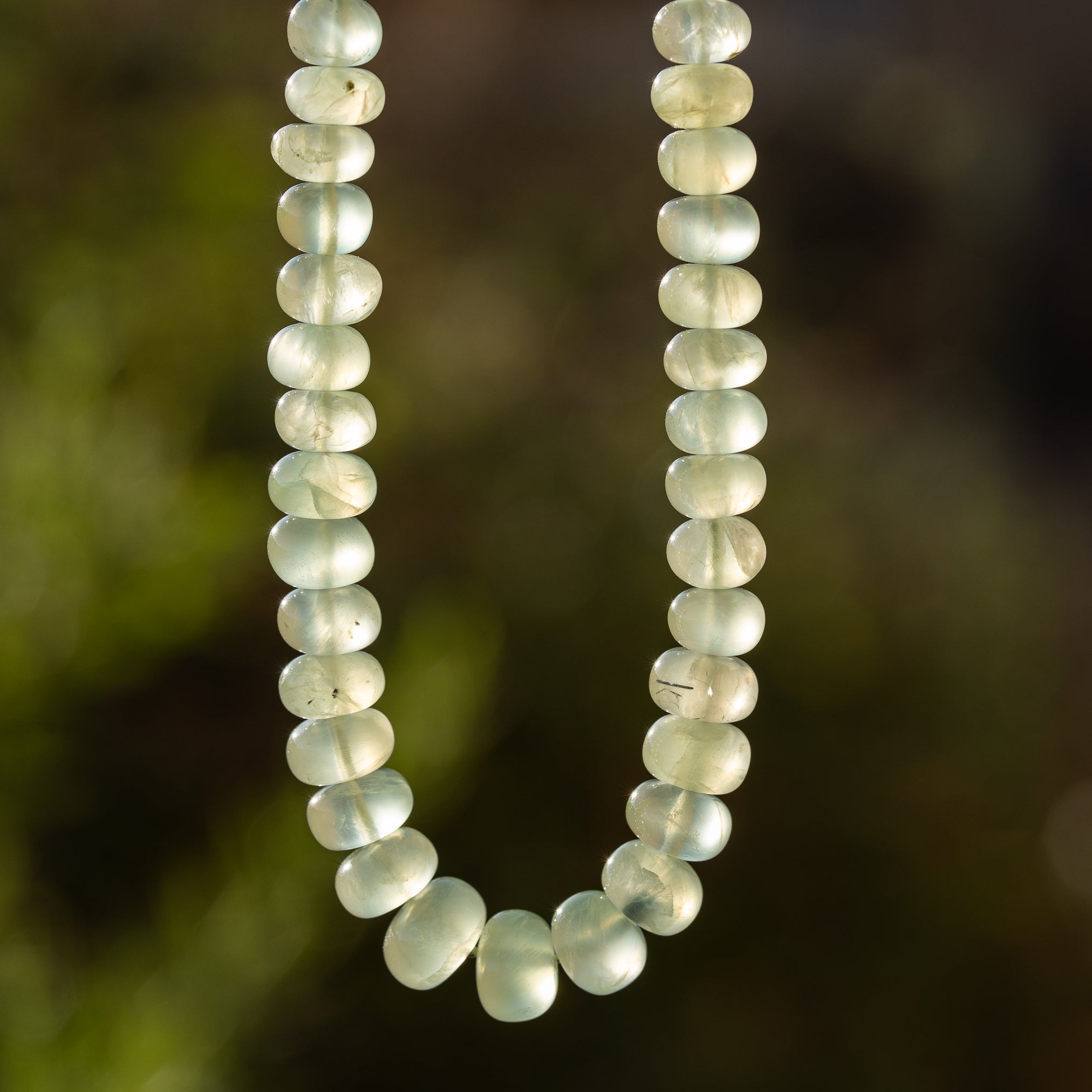 Fils de env 40 cm de perles rondelles lisses de Préhnite en dégradé de 5,5 à 10 mm