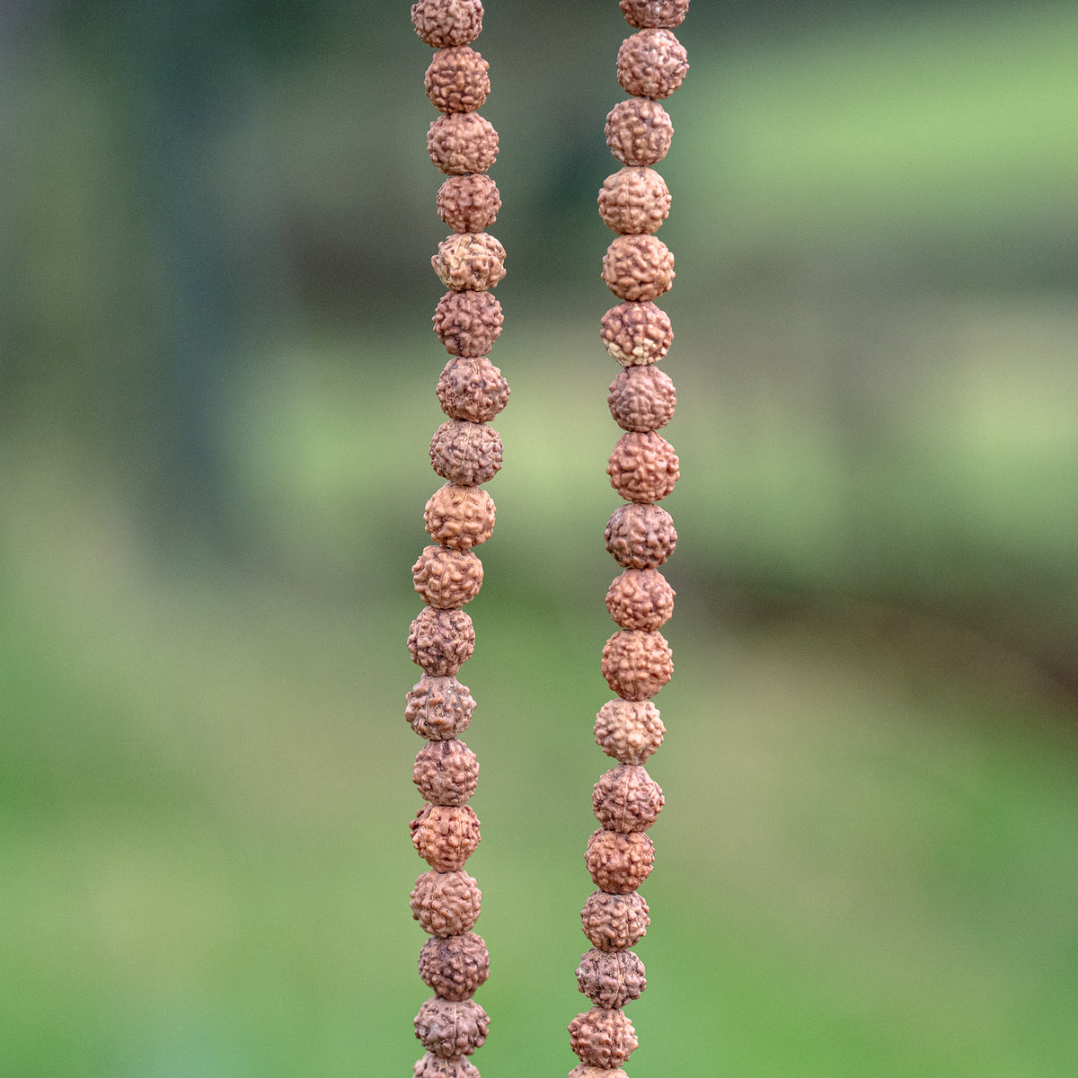 Perles graines Rudraksha rondes de env 6/7 mm ( brins de 108 perles et de env 66 cm  )