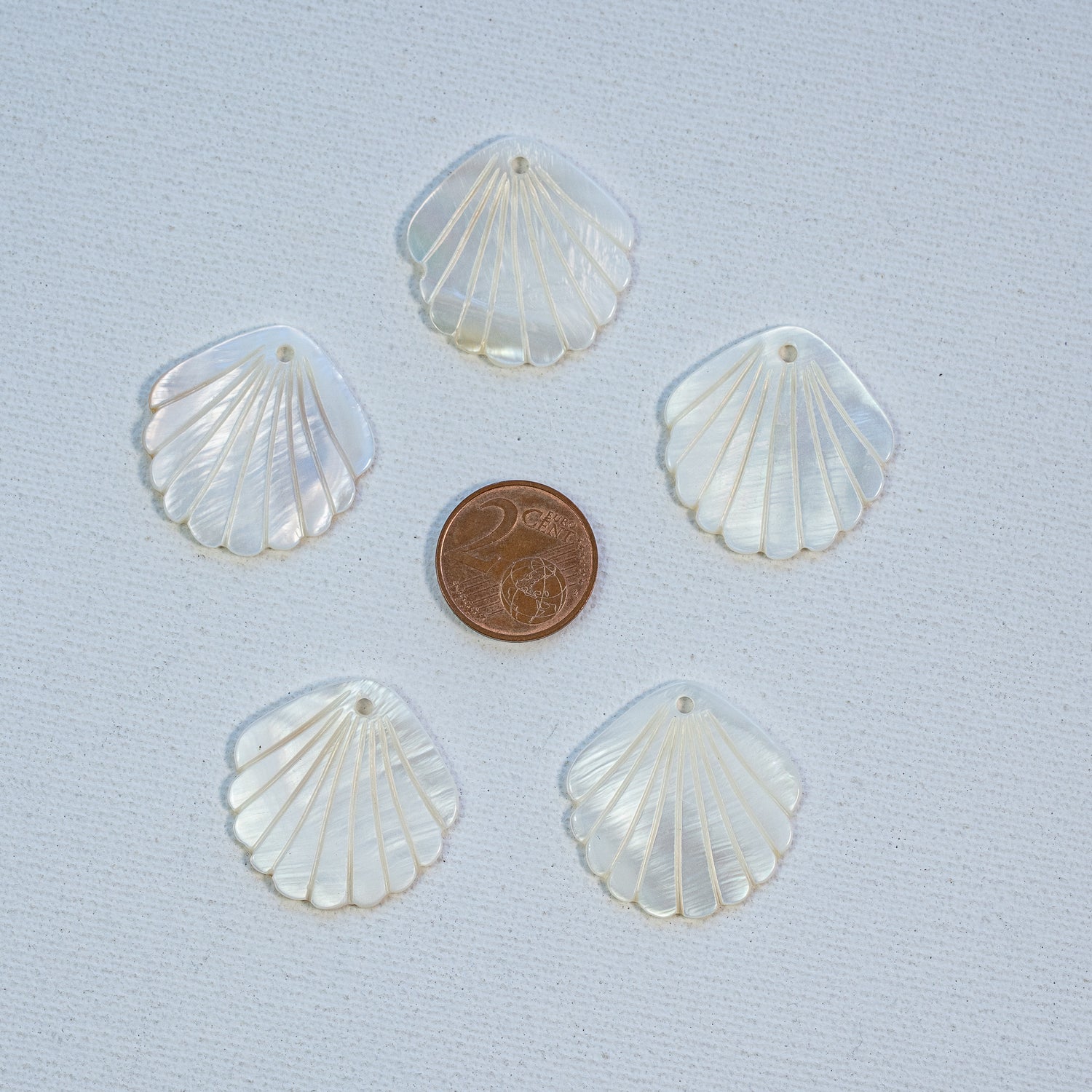 Breloques sculptées coquillage en nacre de 28 x 28 mm ( à l&