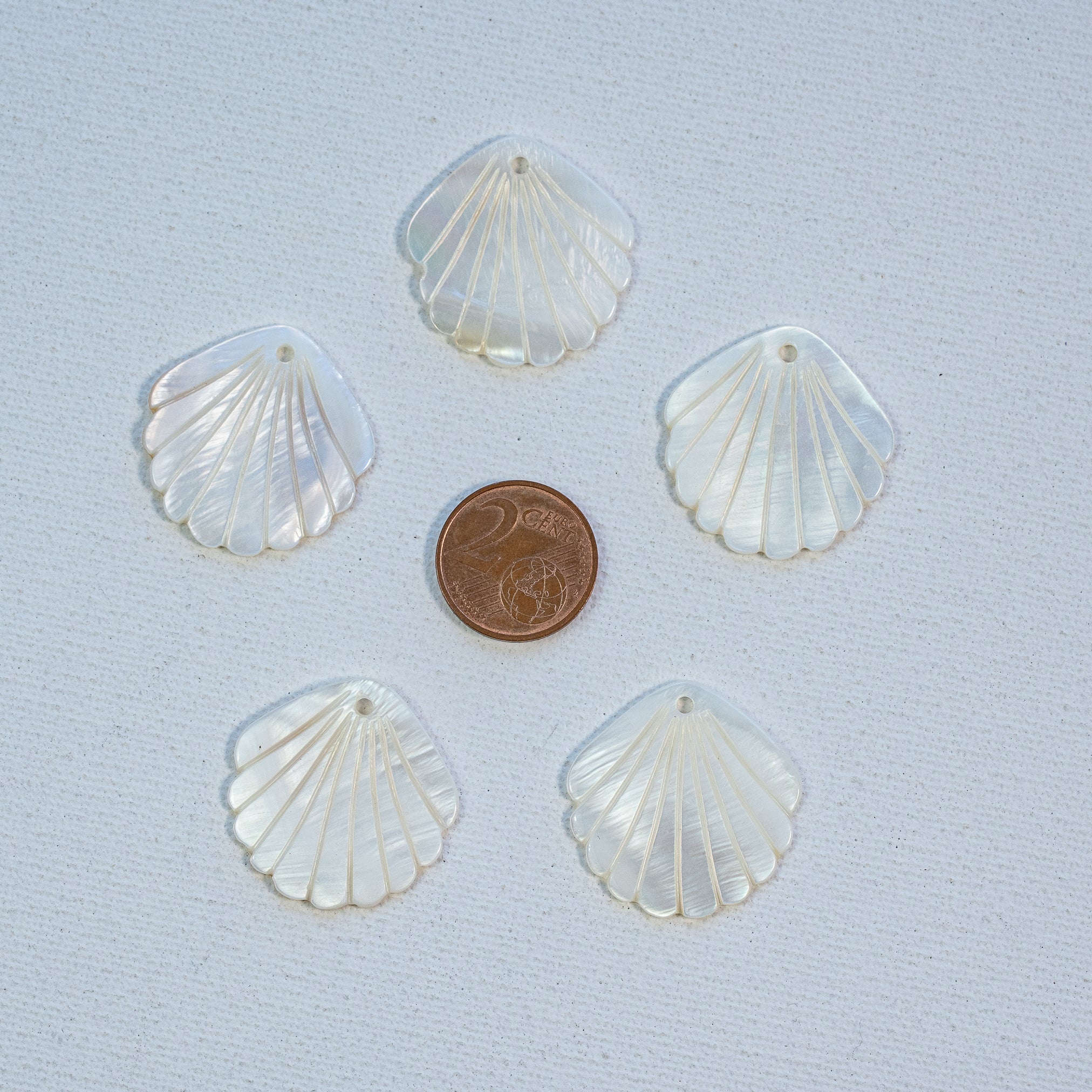 Breloques sculptées coquillage en nacre de 28 x 28 mm ( à l&
