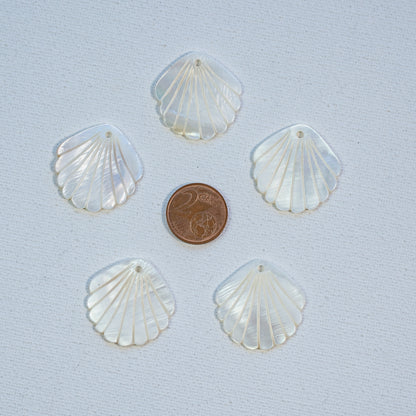 Breloques sculptées coquillage en nacre de 28 x 28 mm ( à l&