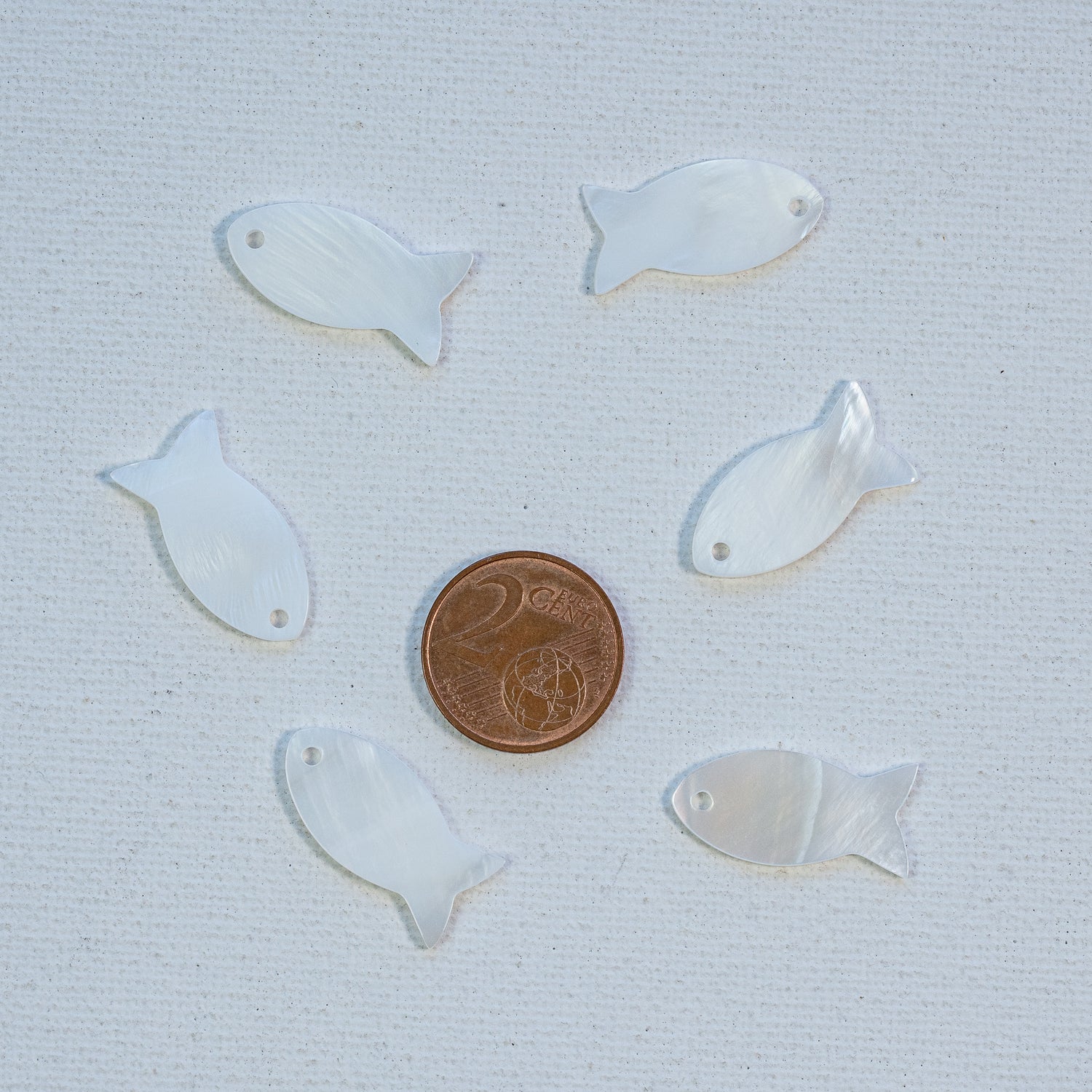 Breloques poisson en nacre de 22,5 x 9,5 mm ( à l&