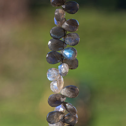 Perles gouttes facettes AA de labradorite de 11/12 mm ( lot de 2 perles )