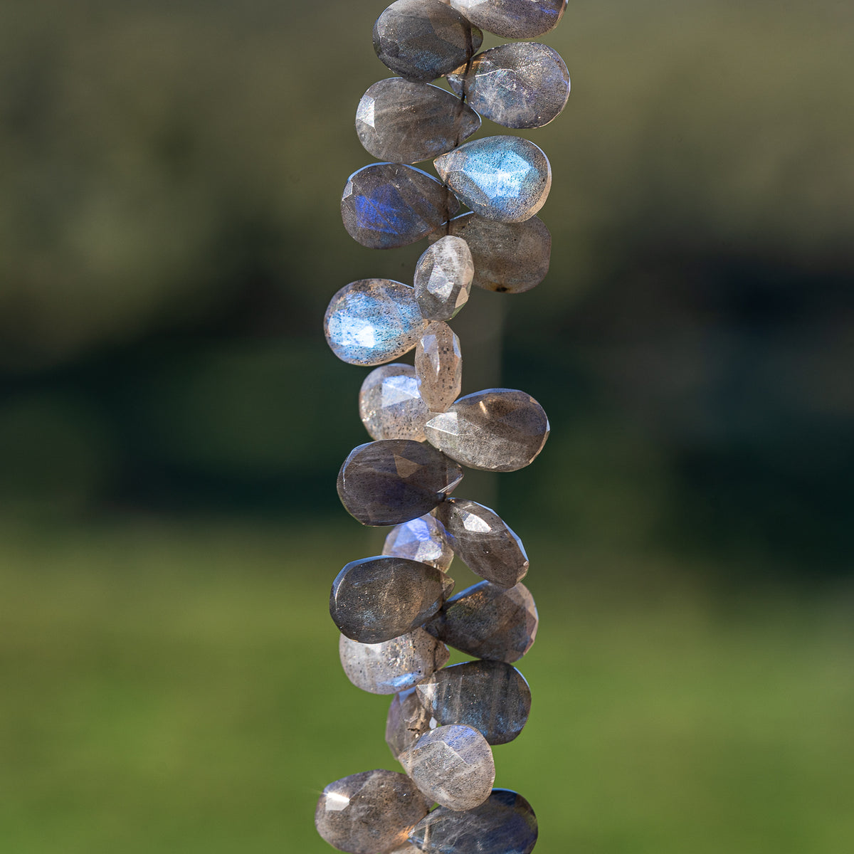 Perles gouttes facettes AA de labradorite de 11/12 mm ( lot de 2 perles )