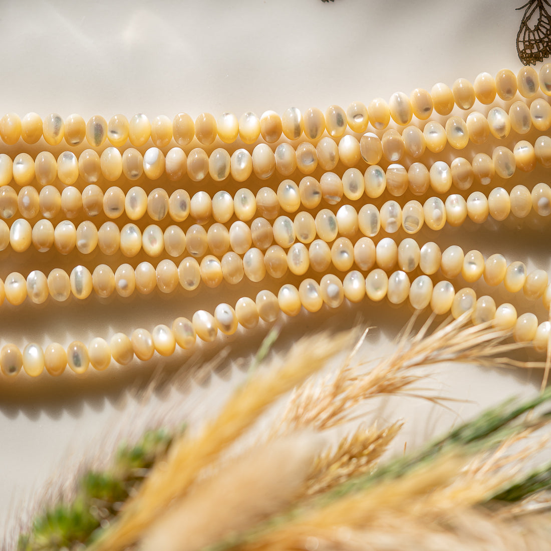 Perles rondelles lisses de nacre beige doré de 5,5 x 4 mm ( rang de env 100 perles )